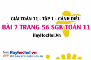 Giải bài 7 trang 56 Toán 11 tập 1 SGK Cánh Diều